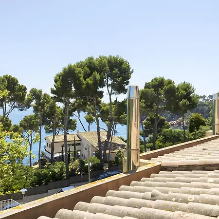 Ona * カレリャ・デ・パラフルジェリ